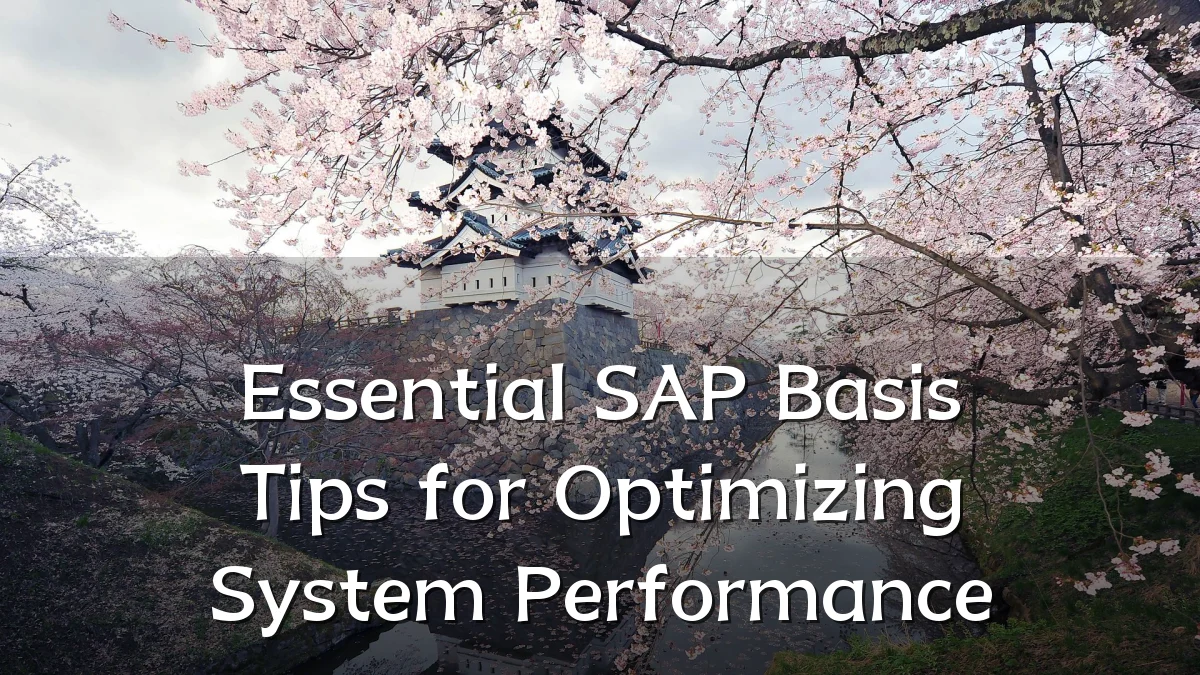 Essential SAP Basis Tips for Optimizing System Performance