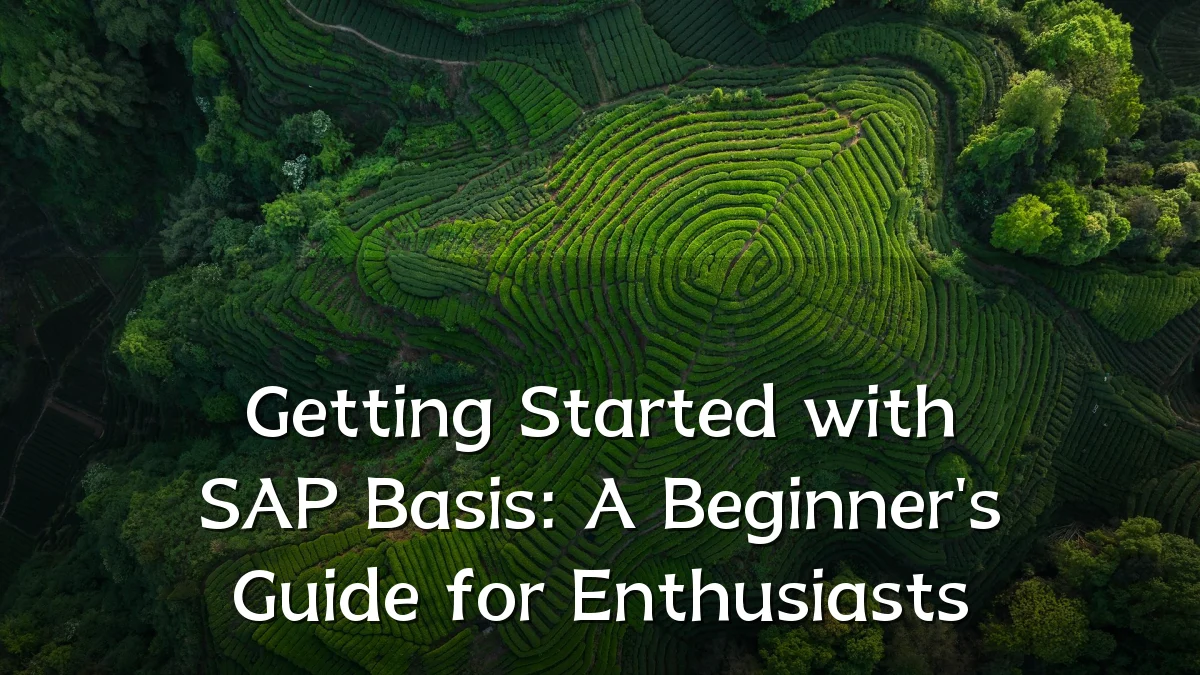 Getting Started with SAP Basis: A Beginner's Guide for Enthusiasts
