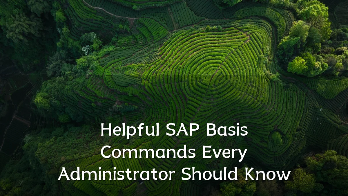 Helpful SAP Basis Commands Every Administrator Should Know