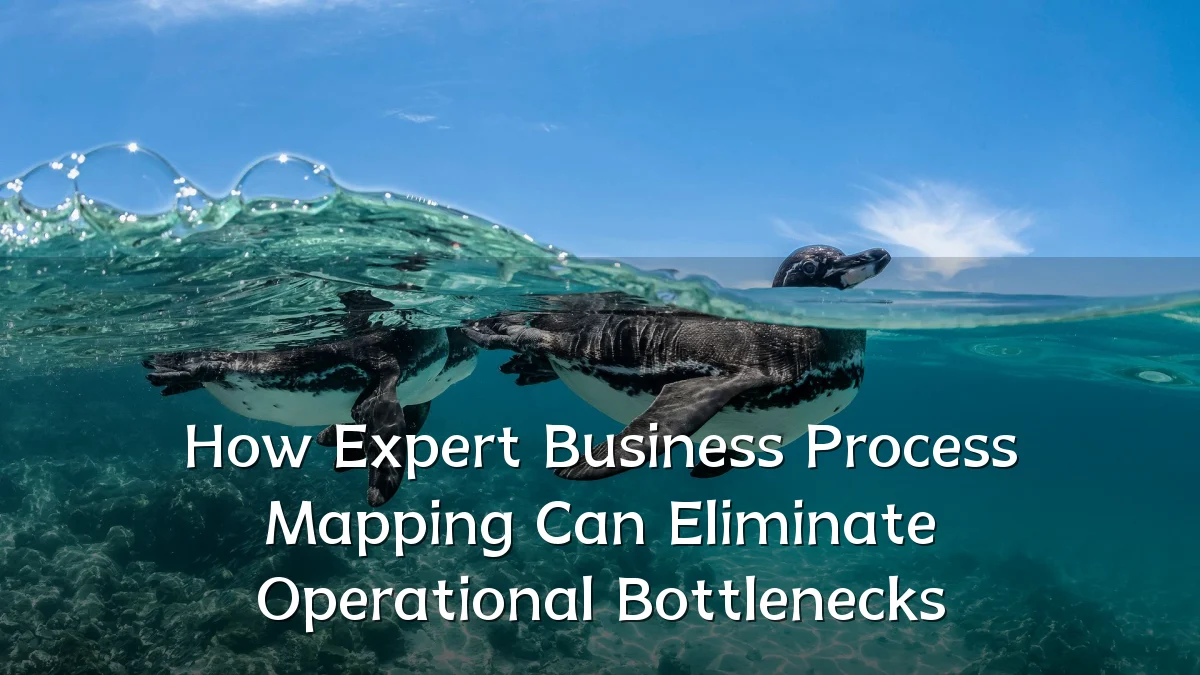 How Expert Business Process Mapping Can Eliminate Operational Bottlenecks