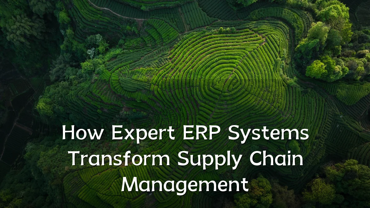 How Expert ERP Systems Transform Supply Chain Management