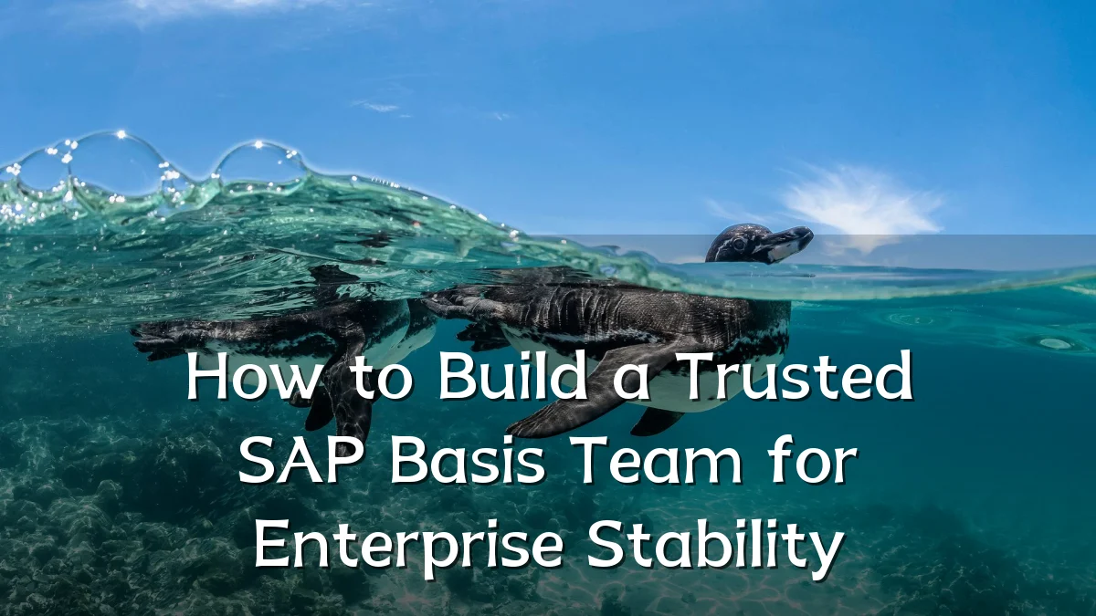 How to Build a Trusted SAP Basis Team for Enterprise Stability