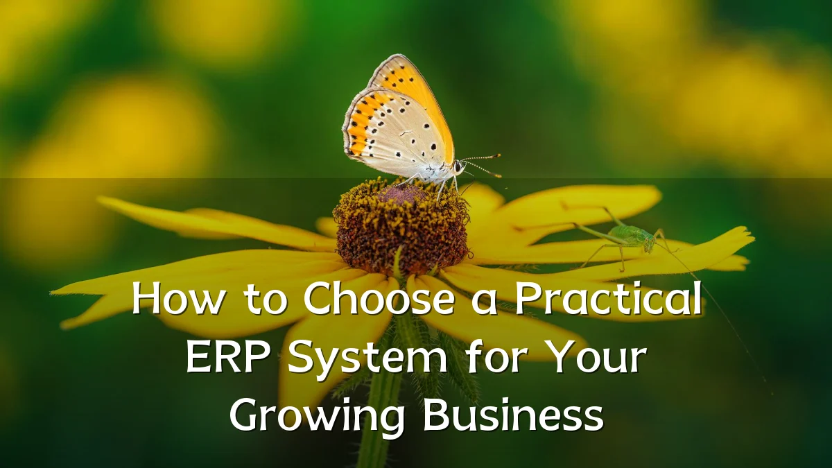 How to Choose a Practical ERP System for Your Growing Business
