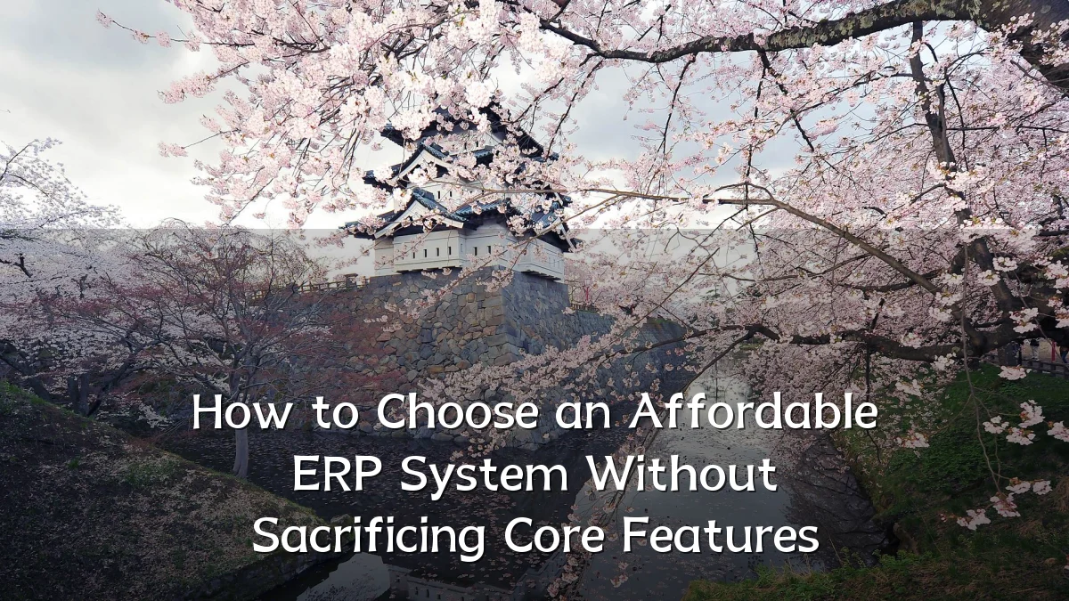 How to Choose an Affordable ERP System Without Sacrificing Core Features