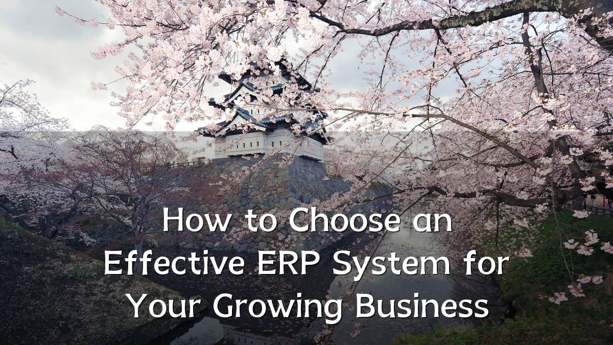 How to Choose an Effective ERP System for Your Growing Business