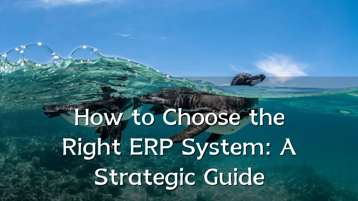How to Choose the Right ERP System: A Strategic Guide