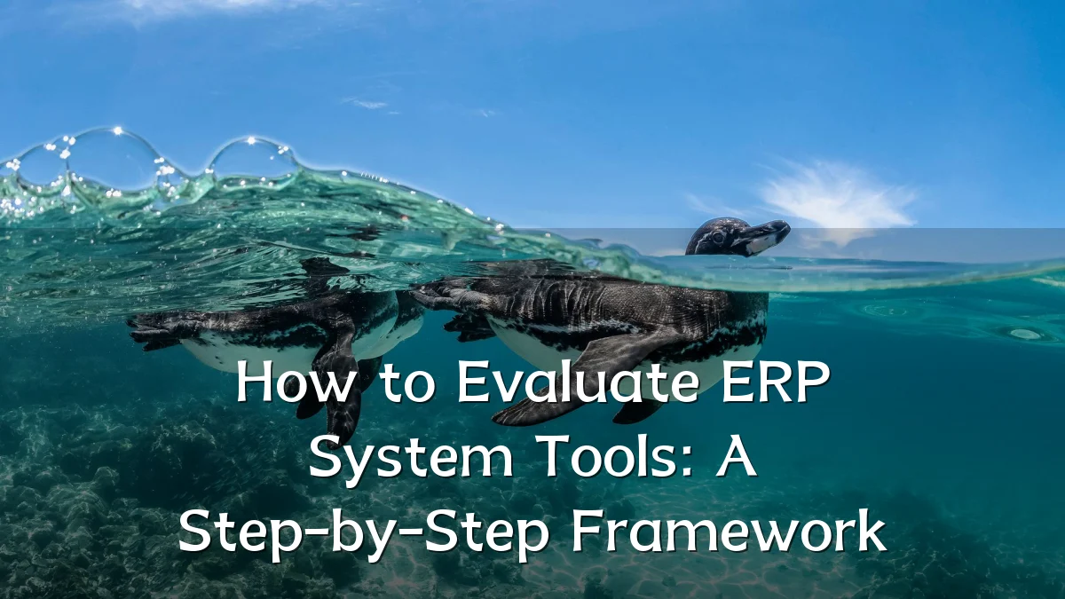 How to Evaluate ERP System Tools: A Step-by-Step Framework