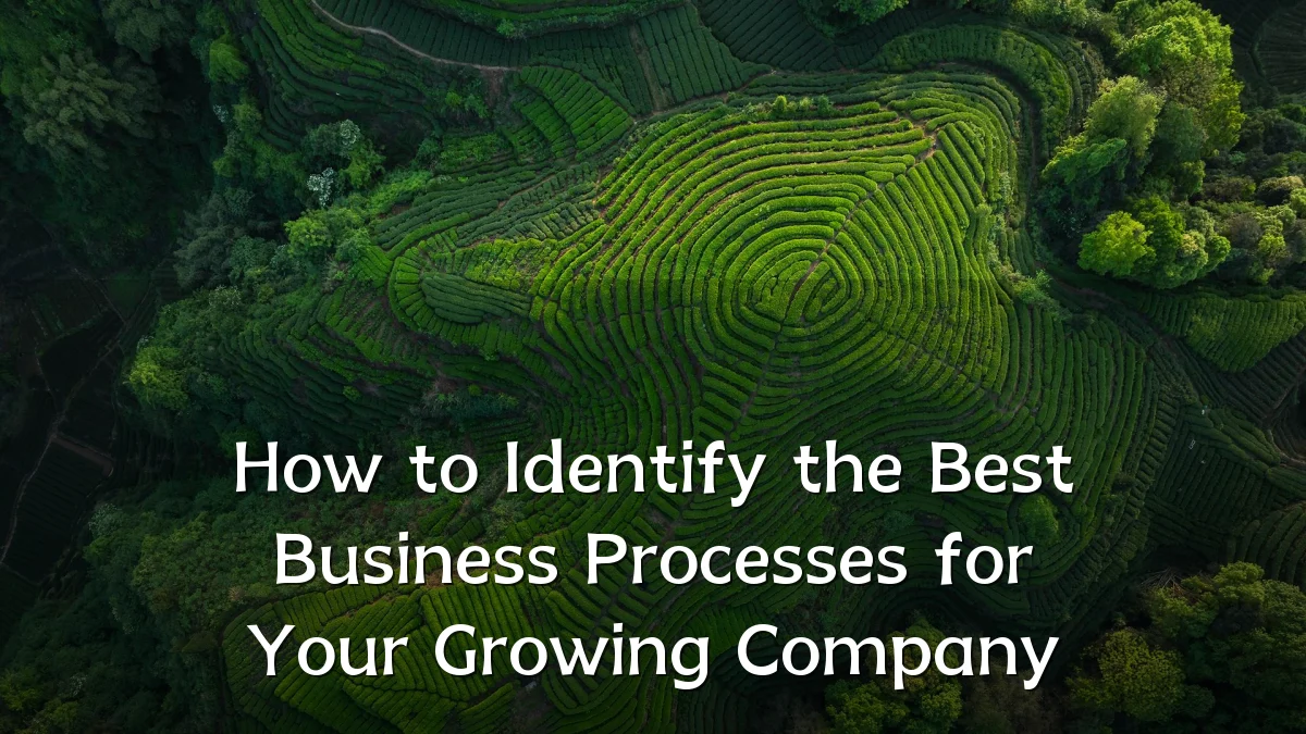 How to Identify the Best Business Processes for Your Growing Company