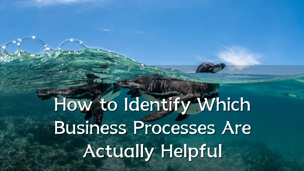 How to Identify Which Business Processes Are Actually Helpful