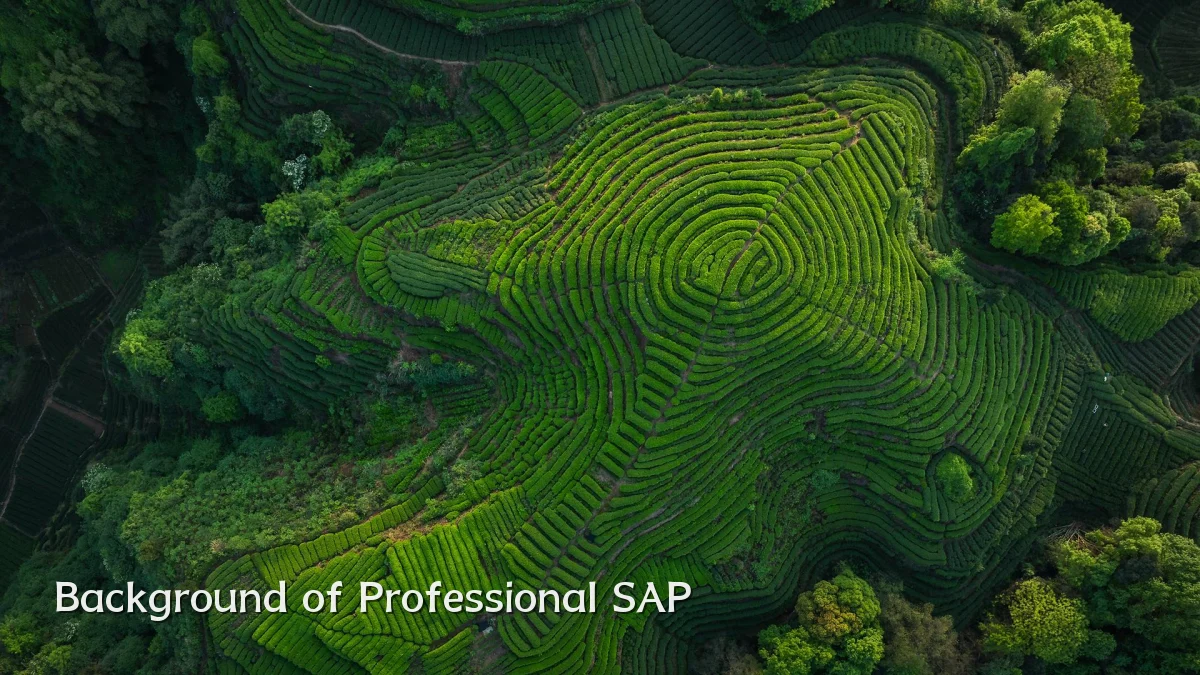 Background of Professional SAP