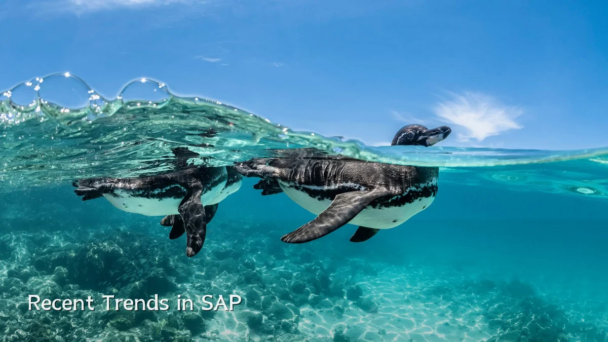 Recent Trends in SAP