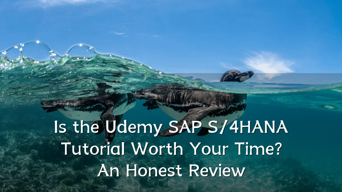Is the Udemy SAP S/4HANA Tutorial Worth Your Time? An Honest Review