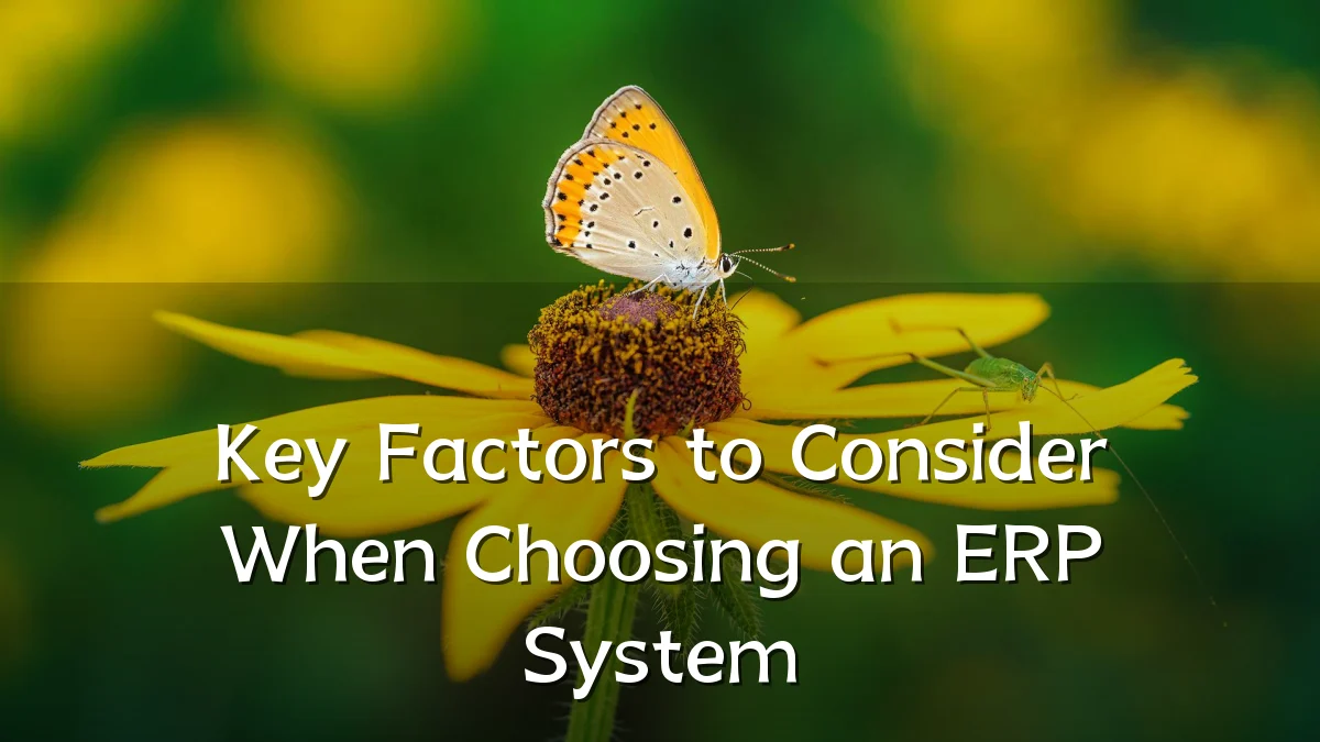 Key Factors to Consider When Choosing an ERP System