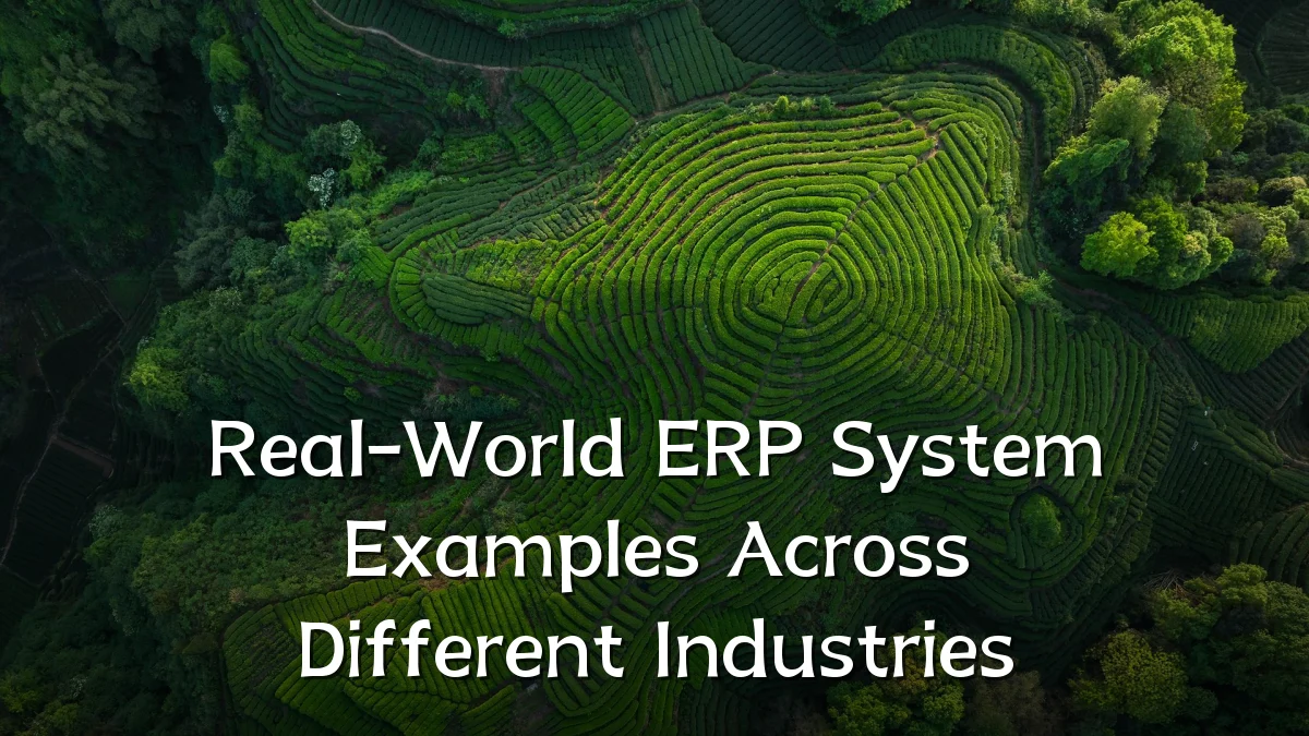 Real-World ERP System Examples Across Different Industries