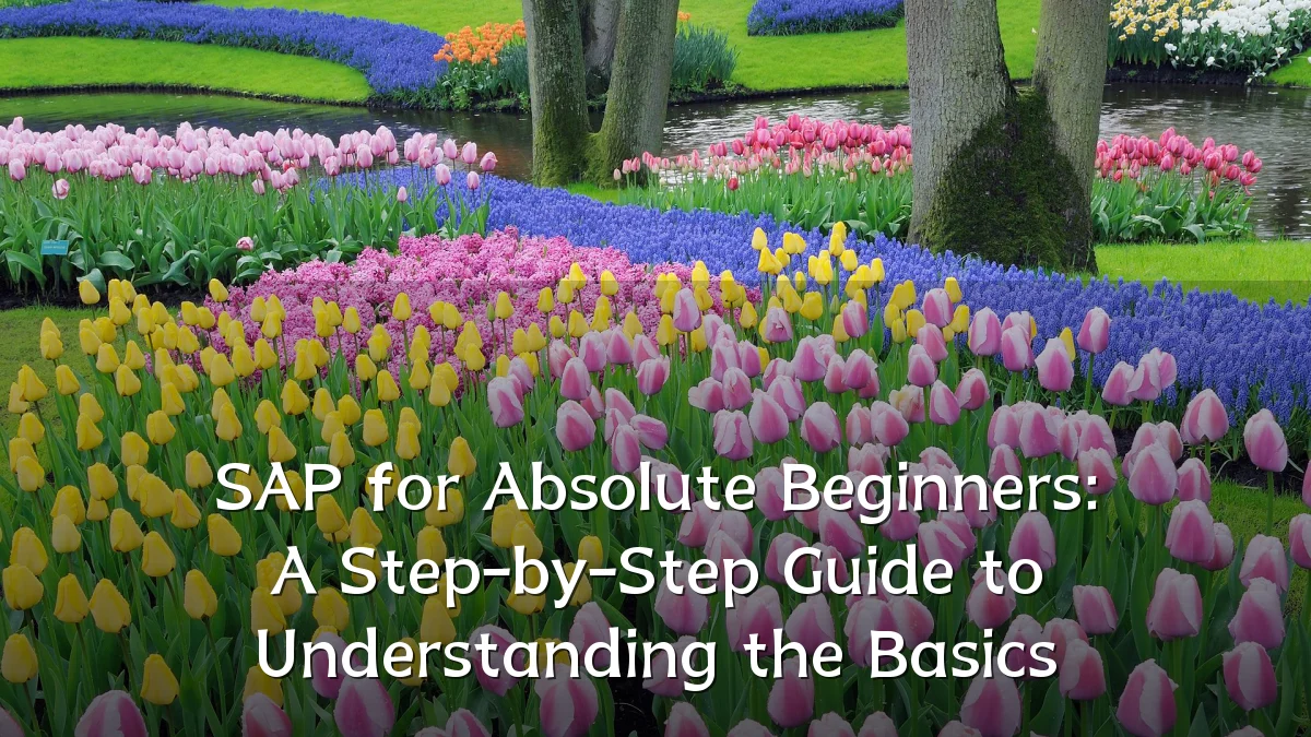 SAP for Absolute Beginners: A Step-by-Step Guide to Understanding the Basics