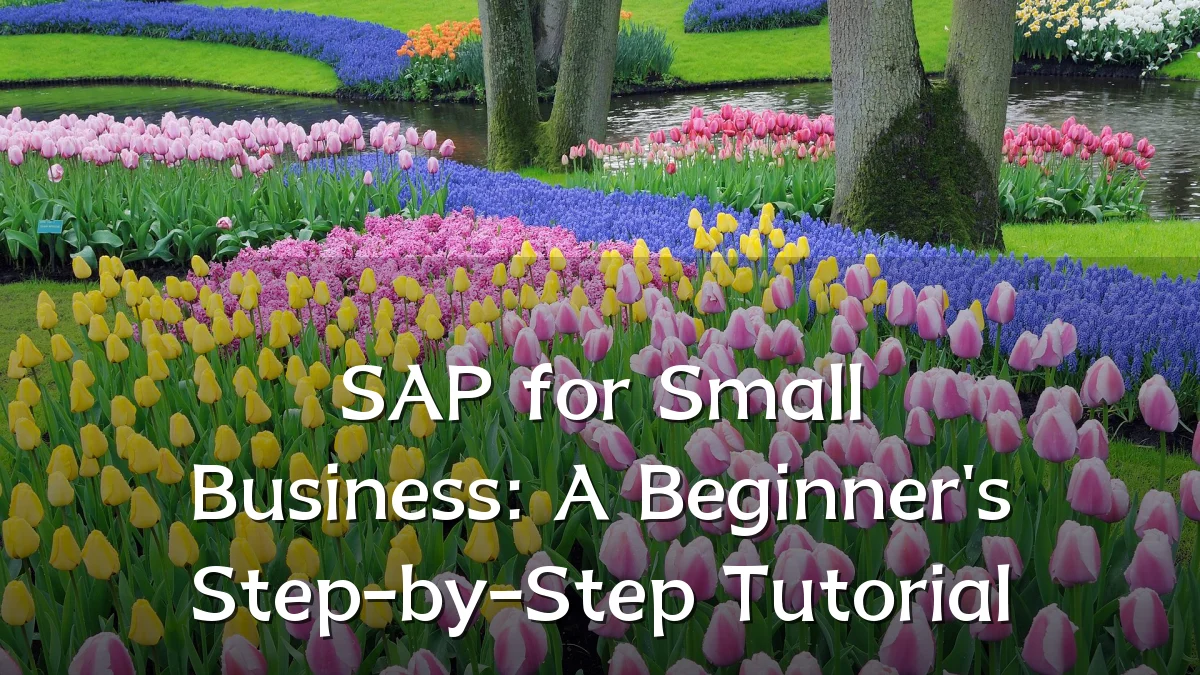 SAP for Small Business: A Beginner's Step-by-Step Tutorial