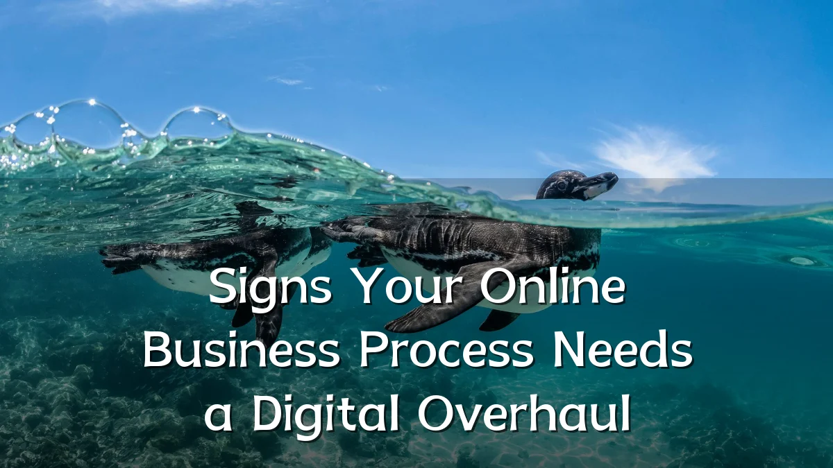 Signs Your Online Business Process Needs a Digital Overhaul