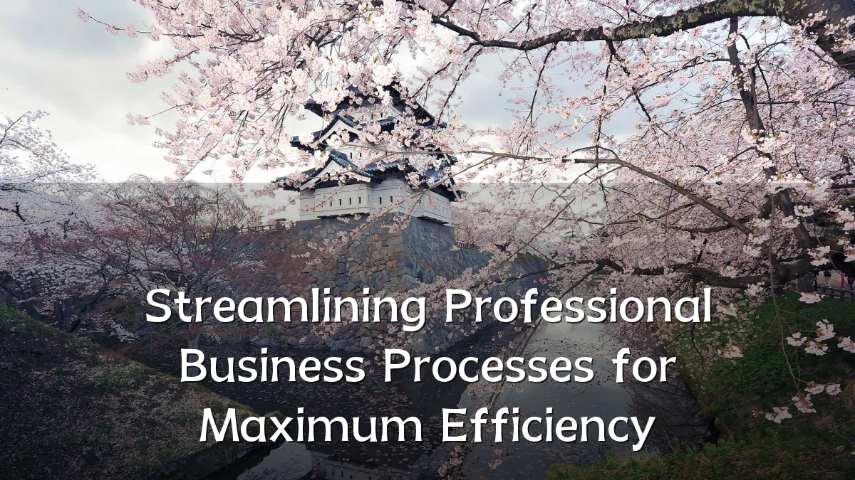 Streamlining Professional Business Processes for Maximum Efficiency