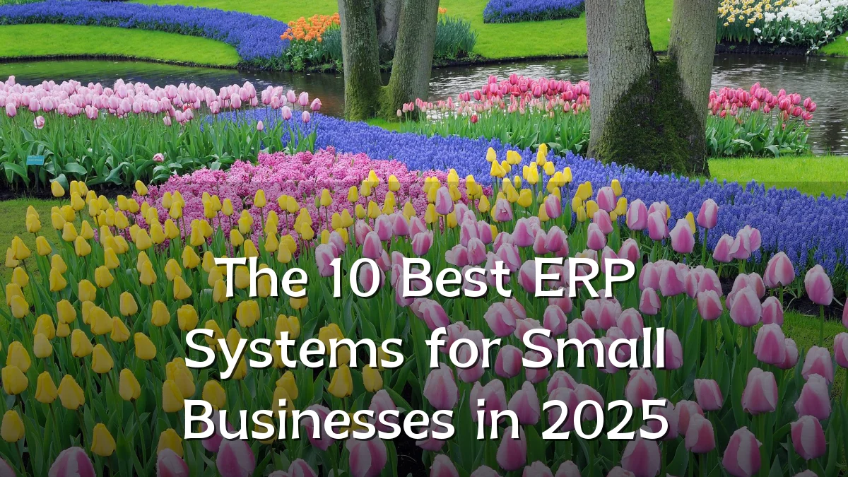 The 10 Best ERP Systems for Small Businesses in 2025