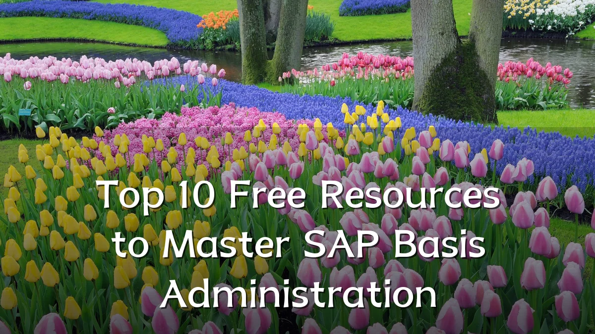 Top 10 Free Resources to Master SAP Basis Administration