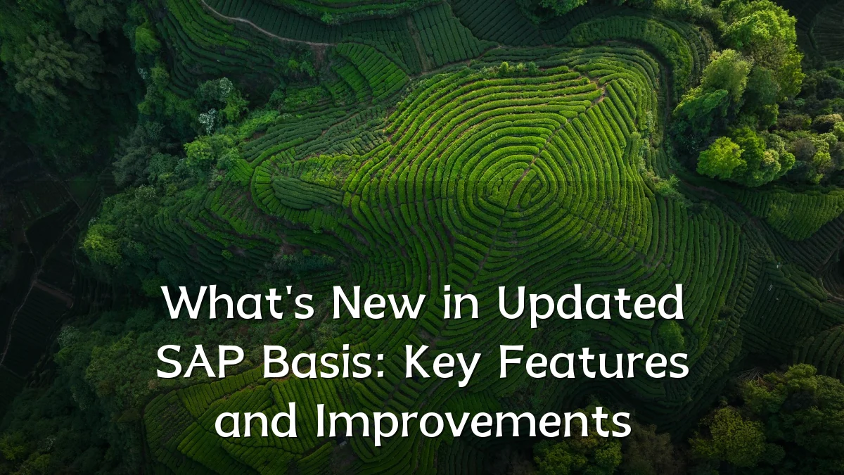 What's New in Updated SAP Basis: Key Features and Improvements