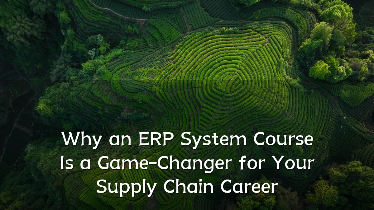 Why an ERP System Course Is a Game-Changer for Your Supply Chain Career