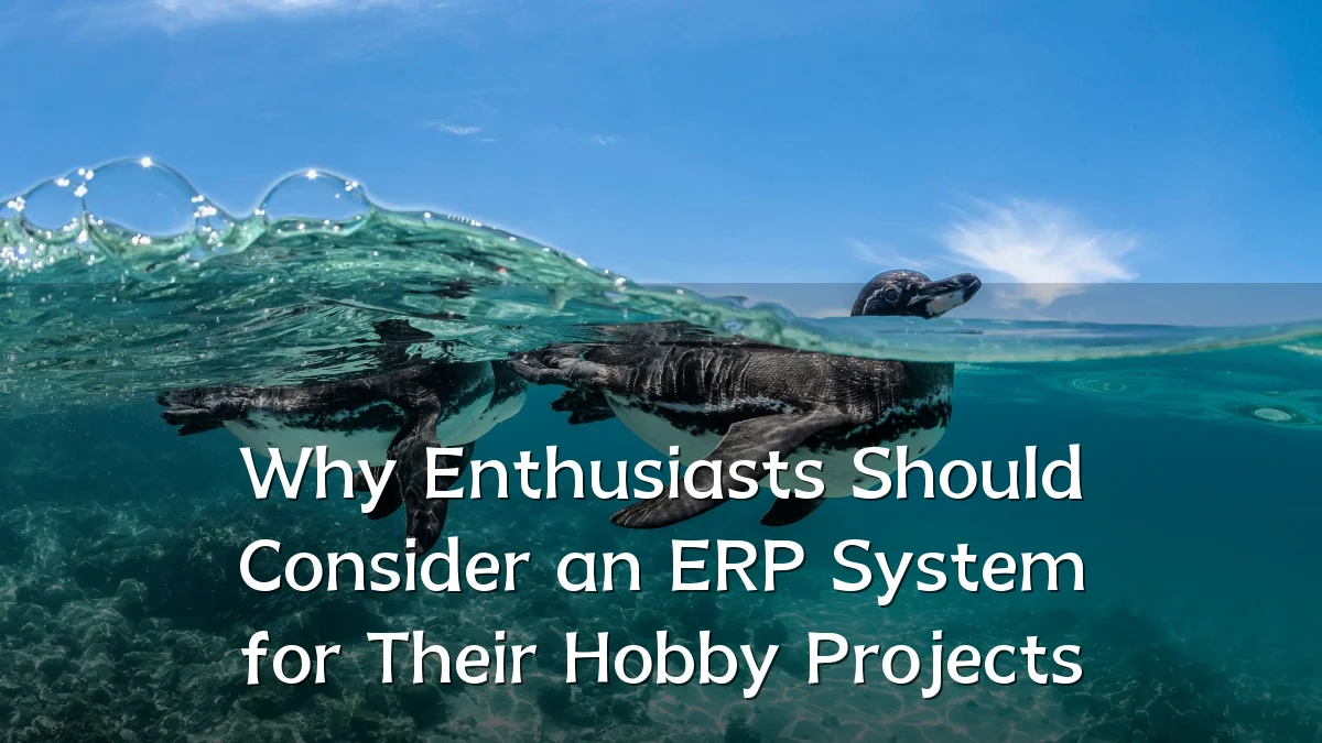 Why Enthusiasts Should Consider an ERP System for Their Hobby Projects