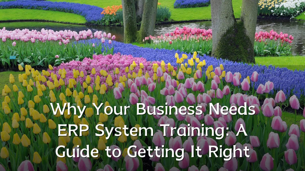 Why Your Business Needs ERP System Training: A Guide to Getting It Right